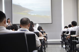 现代科研的领军人物——教授们的探索之旅