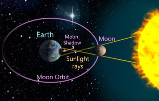 雷加利亚三圣星游戏,科学解答解释落实o7c.649.9