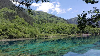 有游客在黄山风景区失联