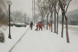 工人日报关注：冰雪经济“热”了，人才培养如何“趁热打铁”